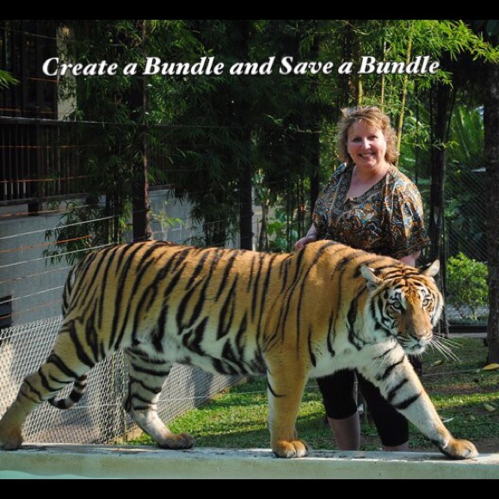 BUNDLE MASTER 🐯